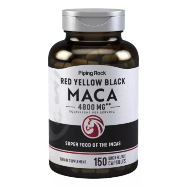 MACA PIPING ML1